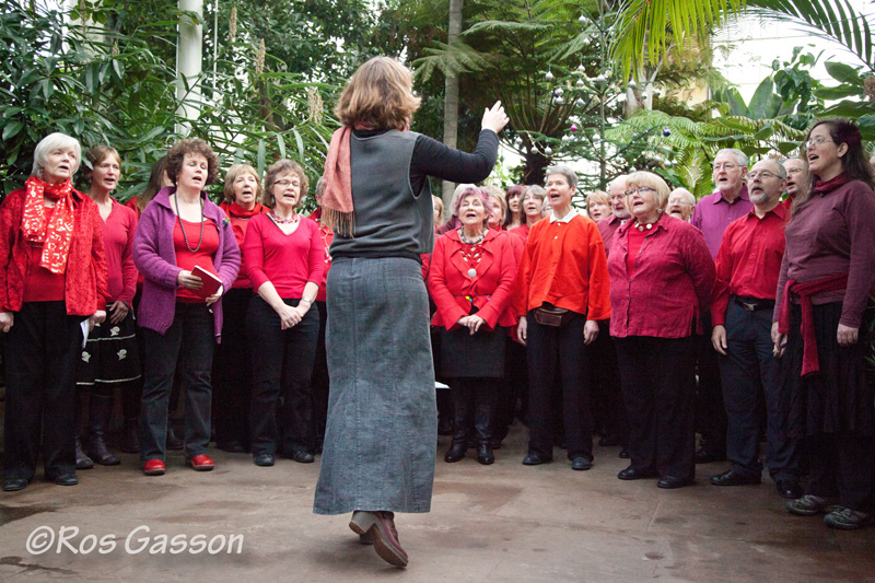 Join Sangstream, Edinburgh's folk choir